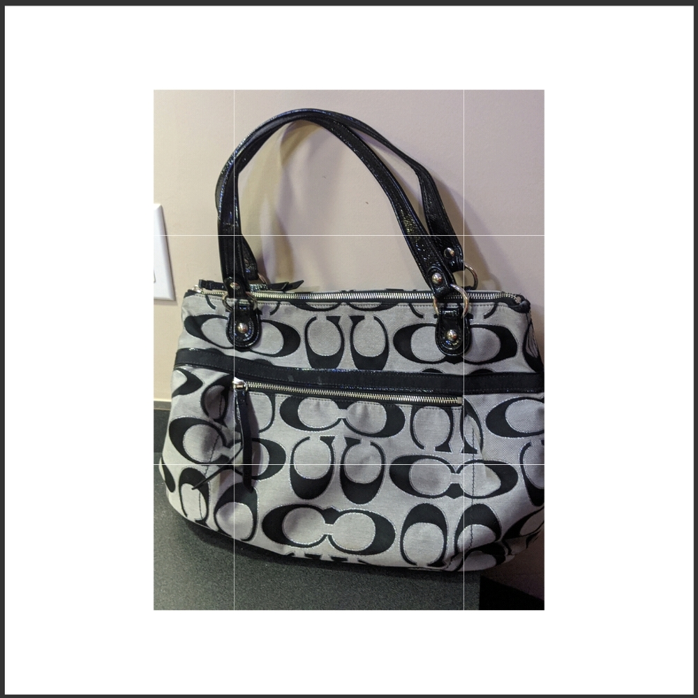 Coach Handbag